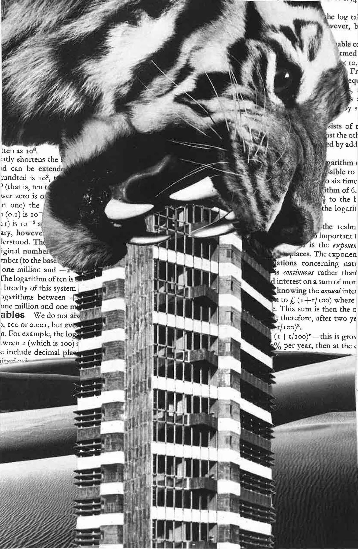 Tone Ranger's Speculative Guide To Finance